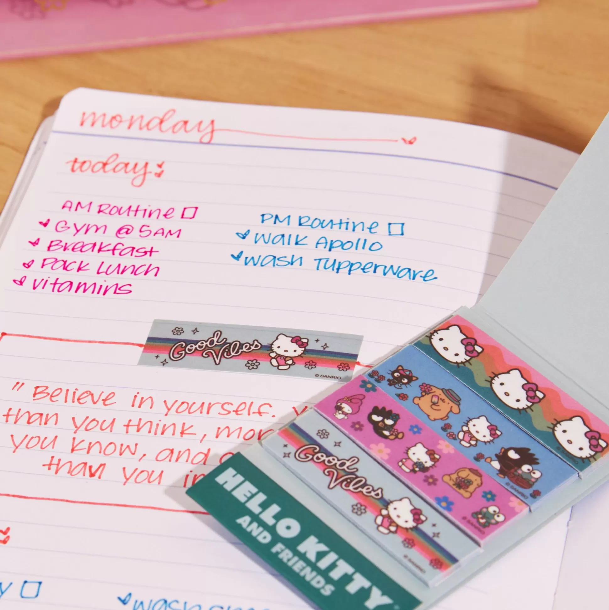Hello Kitty X 2023 Special Edition Gift Box^ERIN CONDREN Store