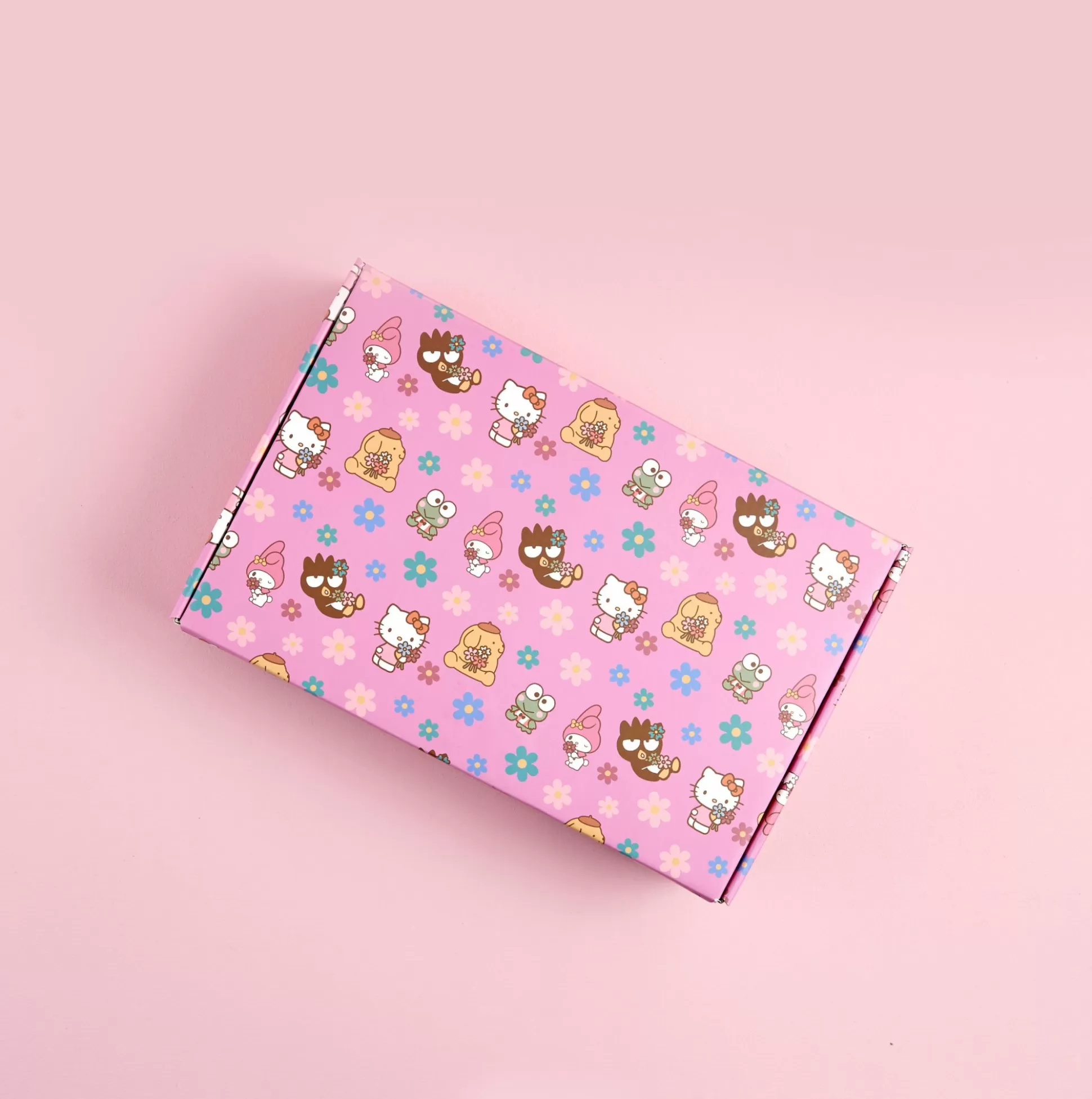 Hello Kitty X 2023 Special Edition Gift Box^ERIN CONDREN Store